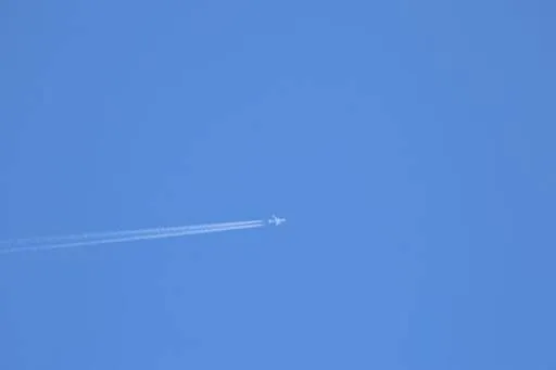 Mercado de milhas: por que ele continua crescendo no Brasil?