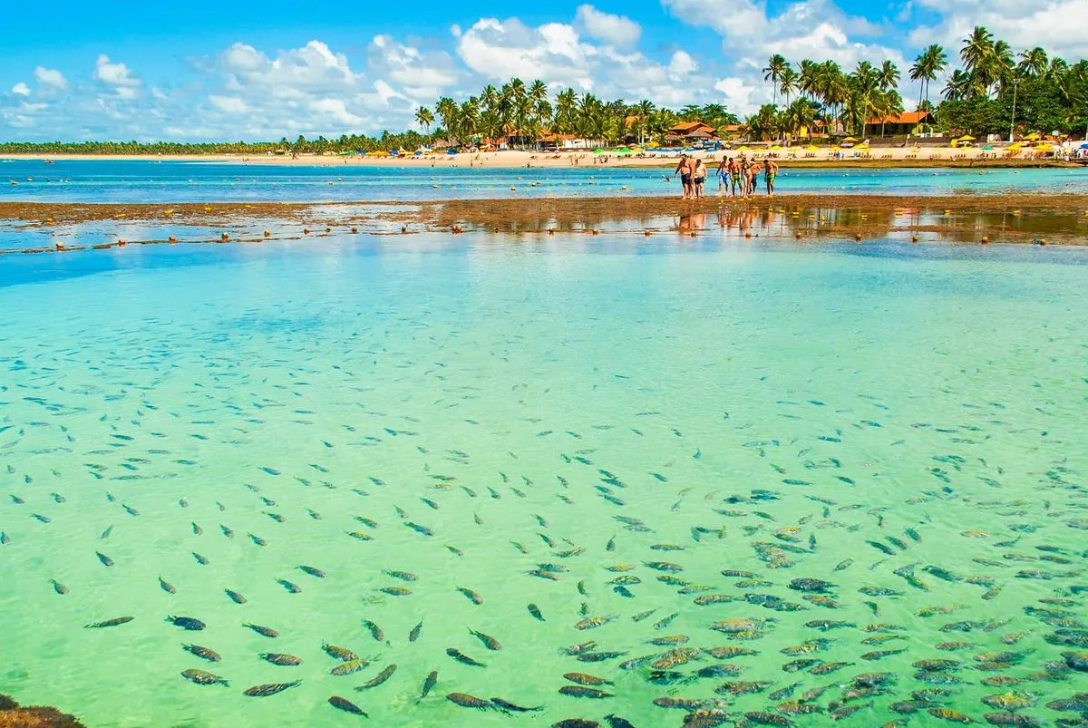 Porto de Galinhas: descontos na hospedagem com a Mais Milhas 