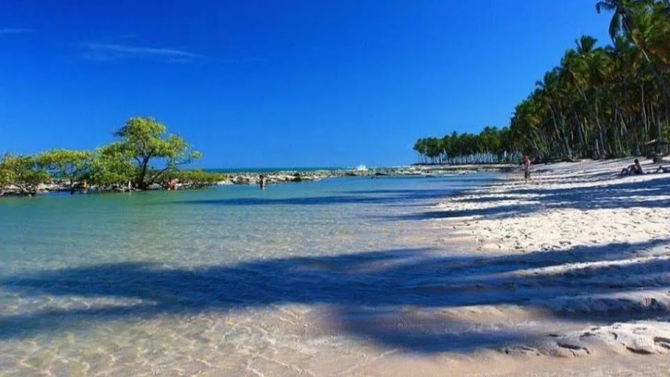 No Mês das Mães: curta uma viagem incrível com ela